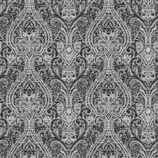 Ткань Fabricut fabric Skipjack Paisley Midnight