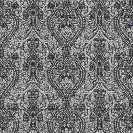 Ткань Fabricut fabric Skipjack Paisley Azure
