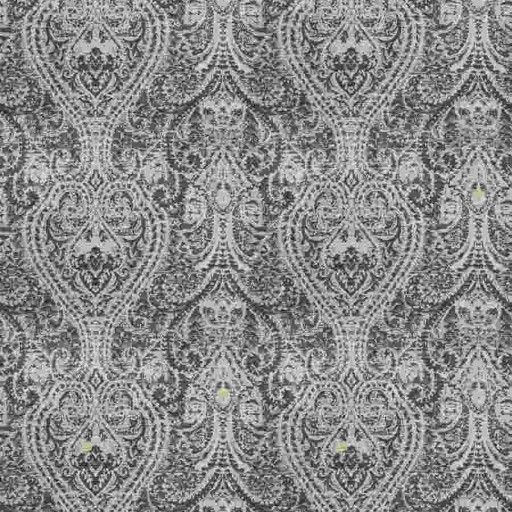 Ткань Fabricut fabric Skipjack Paisley Sepia