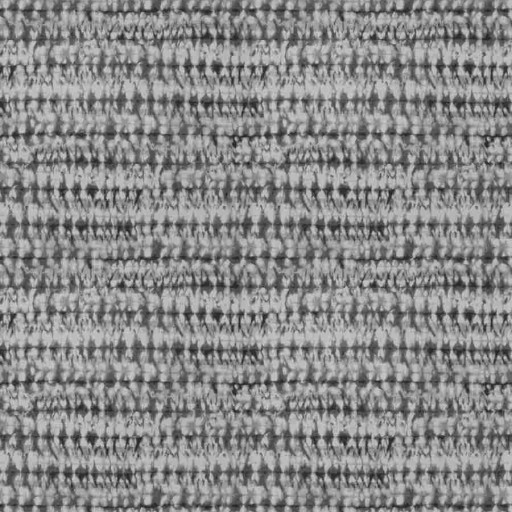 Ткань Fabricut fabric Storyboard 03