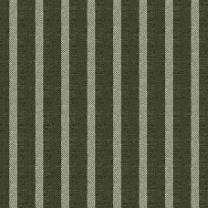 Ткань Fabricut fabric Claymont Stripe Kale