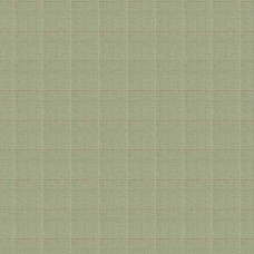 Ткань Fabricut fabric Skeena Thyme