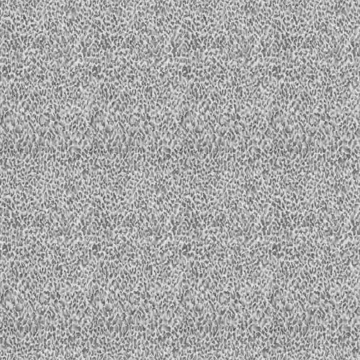 Ткань Fabricut fabric Felinae Spots Slate Ткань Fabricut fabric Felinae Spots Slate