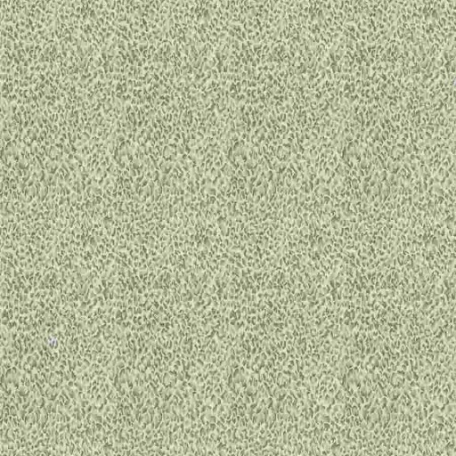 Ткань Fabricut fabric Felinae Spots Safari Ткань Fabricut fabric Felinae Spots Safari