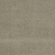 Ткань Christian Fischbacher fabric...