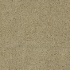 Ткань Christian Fischbacher fabric...