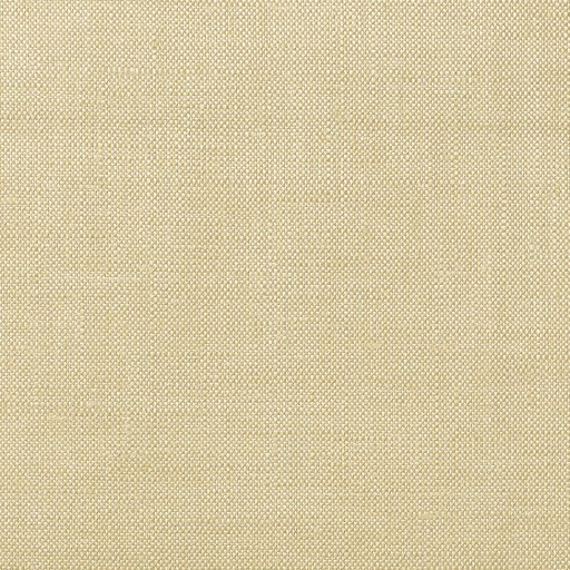 Ткань Christian Fischbacher fabric Cirée.13778.827 