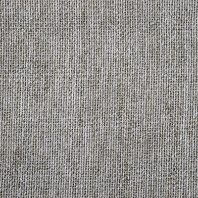 Ткань Christian Fischbacher fabric Coba.2843.305