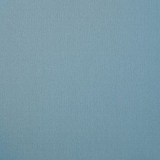Ткань Christian Fischbacher fabric...