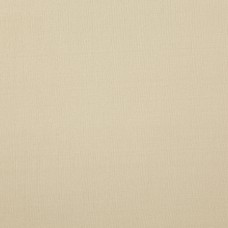 Ткань Christian Fischbacher fabric...