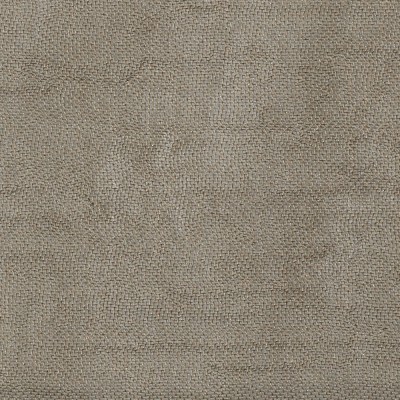 Ткань Christian Fischbacher fabric Silenzio.14352.227