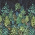 Cascading Gardens
