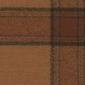 Callanish Check