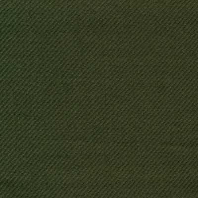 Ткань Isle Mill Design fabric Twill Moss TW009 