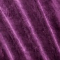 Carnaby Velvet 