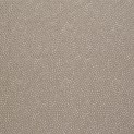 Shagreen Silk 