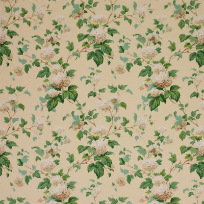 Ткань Colefax and Fowler fabric F1114-02 