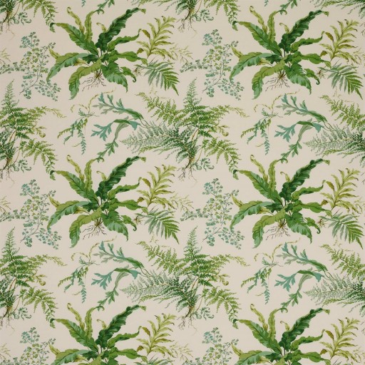 Ткань Colefax and Fowler fabric F3217-01