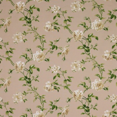 Ткань Colefax and Fowler fabric F3423-01 