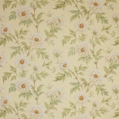 Ткань Colefax and Fowler fabric F3527-01 