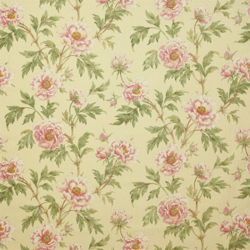 Ткань Colefax and Fowler fabric F3527-04 