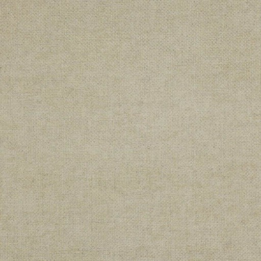 Ткань Colefax and Fowler fabric F3831-01 