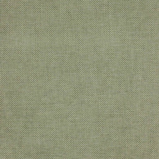 Ткань Colefax and Fowler fabric F3831-10 