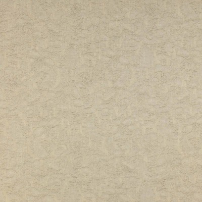 Ткань Colefax and Fowler fabric F3923-01 