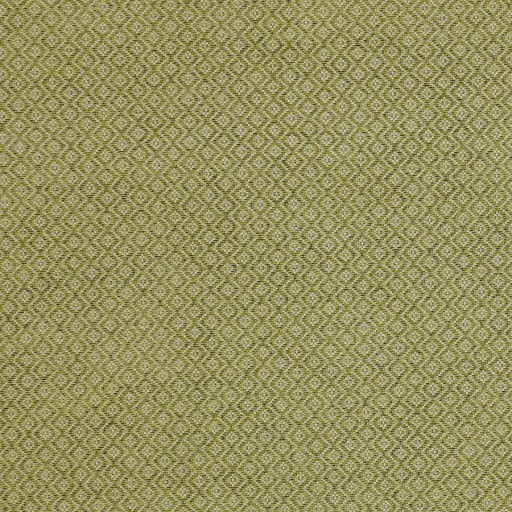 Ткань Colefax and Fowler fabric F4222-03