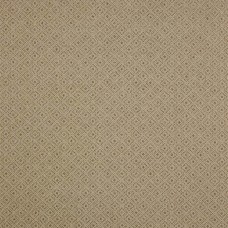 Ткань Colefax and Fowler fabric...