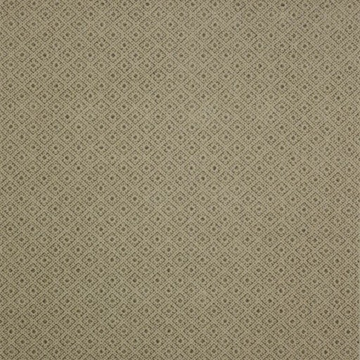 Ткань Colefax and Fowler fabric F4223-06 