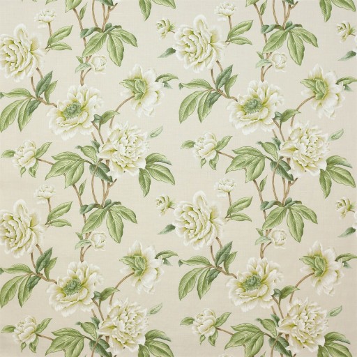 Ткань Colefax and Fowler fabric F4230-05 