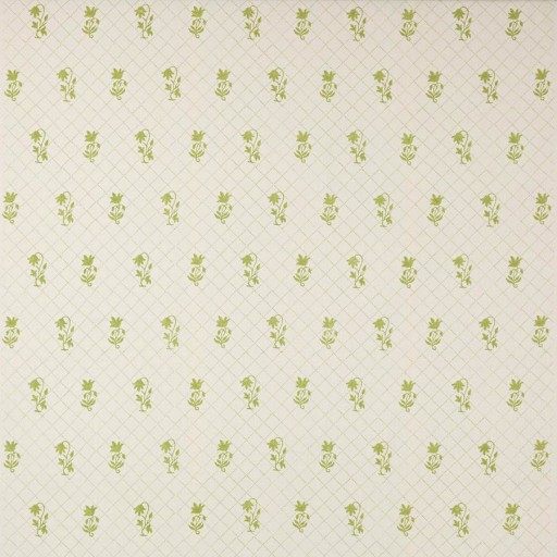 Ткань Colefax and Fowler fabric F4753-01