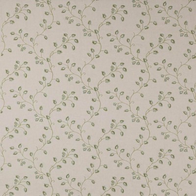 Ткань Colefax and Fowler fabric F4756-02 