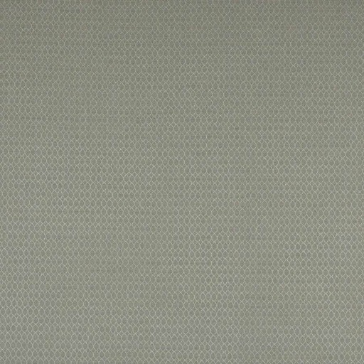 Ткань Colefax and Fowler fabric F4769-01 