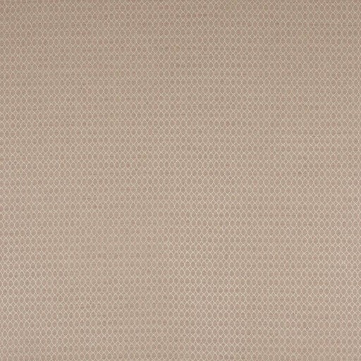 Ткань Colefax and Fowler fabric F4769-03 