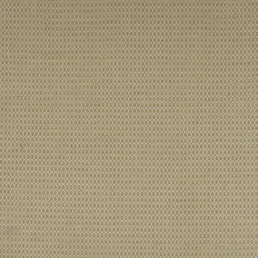 Ткань Colefax and Fowler fabric F4769-06 