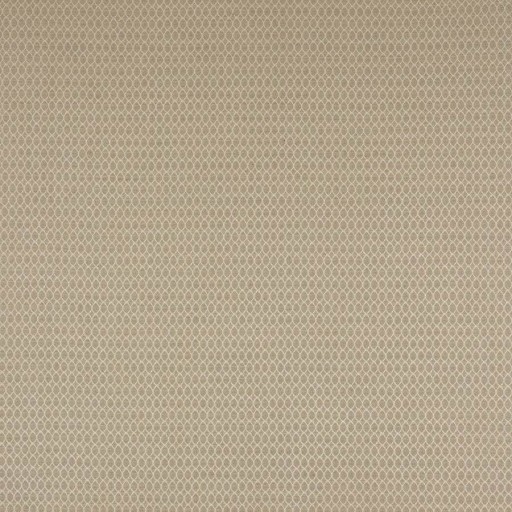 Ткань Colefax and Fowler fabric F4769-07 