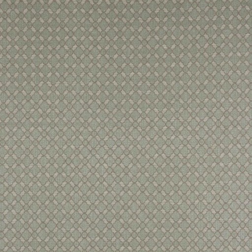 Ткань Colefax and Fowler fabric F4770-05 