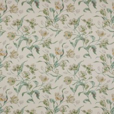 Ткань Colefax and Fowler fabric...