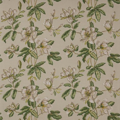 Ткань Colefax and Fowler fabric F4778-04 