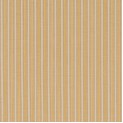 Brooke Stripes