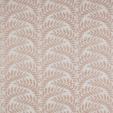 Ткань Jane Churchill fabric J0125-02 