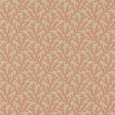 Обои Colefax and Fowler Ashdown...