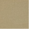 Betula
