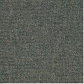 Betula