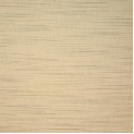 Betula