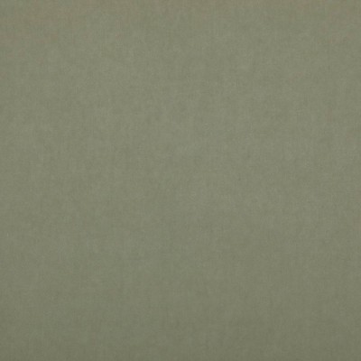Ткань Larsen fabric Larsen Elements L9192-06 