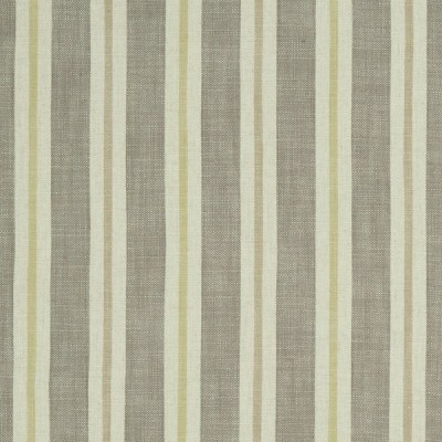 Ткань Clarke and Clarke fabric F1046/01Sackville Stripe