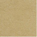 Equinox 2 Fabric